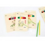 Colored pencils for artist sketch drawing 