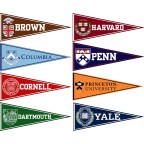 Colored Felt Pennant with Felt Strip