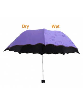 Colour Changing Umbrella