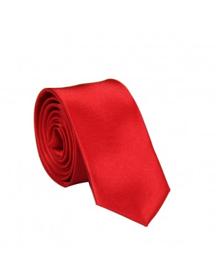 Solid Color Polyester Silk Ties