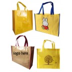 Non-Woven laminated bag